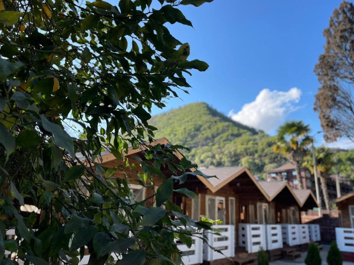 Гостевой Комплекс Парус Hotel New Athos Eksteriør billede